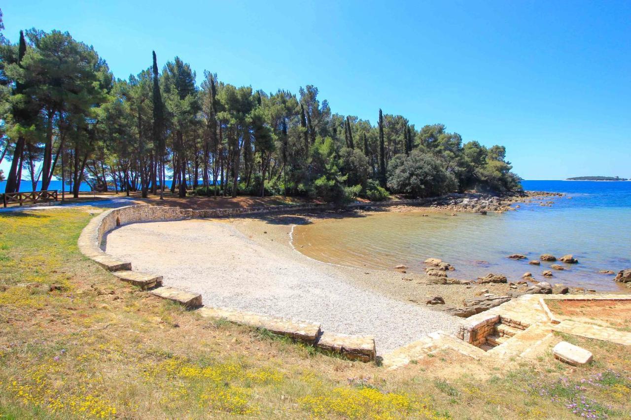 Vila Una With Private Pool Near Rovinj - Open 2022 Rovinjsko Selo Exterior foto